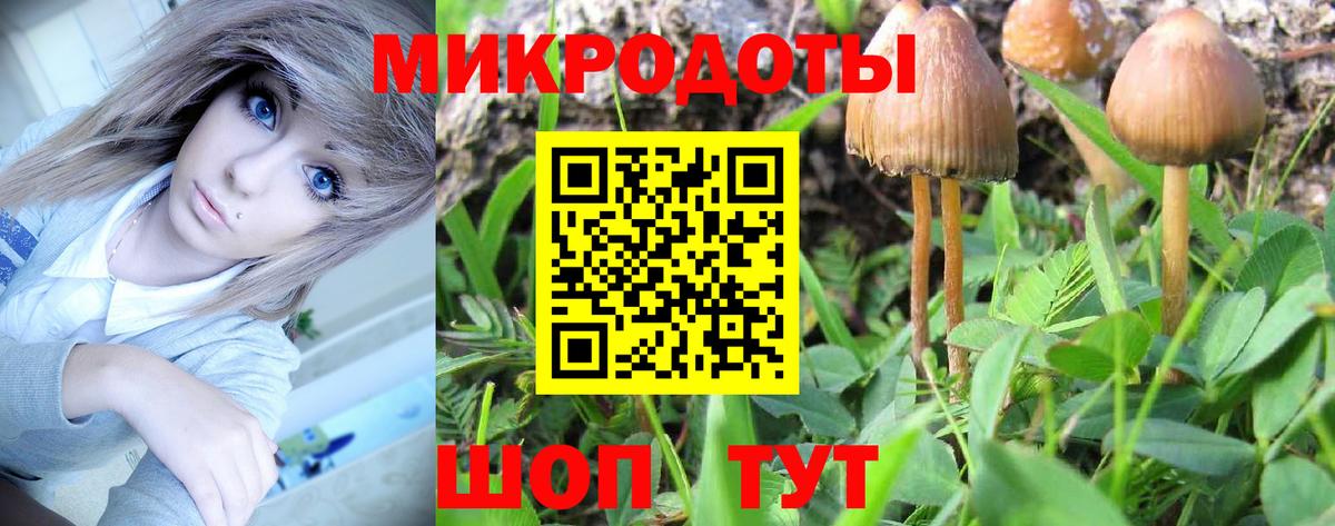 Галлюциногенные грибы ЛСД  Псилоцибиновые грибы Psilocybine cubensis  Вход с VPN  Большой Камень 