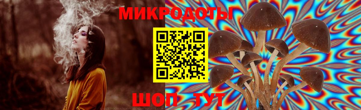 Галлюциногенные грибы мицелий Большой Камень